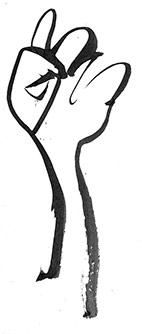 Le-Planning-familial-50-ans-Photo